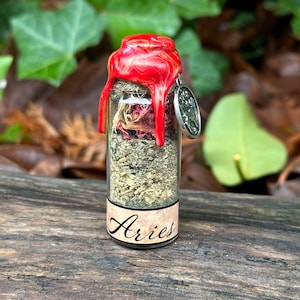 Aries Spell Jar | Zodiac Signs | Witchcraft Altar Magic Decor | Wiccan Pagan Tools | Intention & Ritual