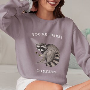 Funny Raccoon Bees Sweatshirt, Ray Bee's Pullover, Woodland Creatures Comfy Wildlife Sweater, Meme Sweatshirt