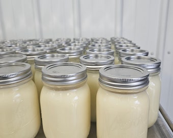 May include: A row of glass jars filled with a pale yellow liquid, with silver lids, sitting on a stainless steel shelf.