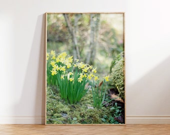 Daffodil Fine Art Print, Wall Decor, Wall Art, Botanical Print, Flower Print, Home Decor, Gift for Mom, Gift for Her, Yellow Flower Print