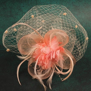 Blumen Fascinator Hut Für Frauen Teeparty 20er Jahre Feder Fascinator Mesh Netz Schleier Hochzeit Teeparty Hut Lady Day Champion