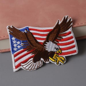 Può includere: Una toppa ricamata con un'aquila calva che vola sopra una bandiera americana. L'aquila è marrone con la testa bianca e gli artigli gialli. La bandiera è rossa, bianca e blu.