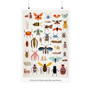 Op de afbeelding: Een kleurrijke illustratie van verschillende insecten en beestjes, waaronder vlinders, kevers en mieren. De illustratie heeft de titel "A Study of Creatures Big and Small".