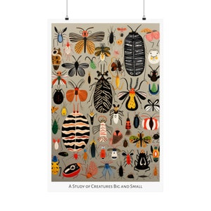 Op de afbeelding: Een kleurrijke illustratie van een verscheidenheid aan insecten en beestjes, waaronder kevers, vlinders en motten. De insecten zijn afgebeeld in een grillige stijl met felle kleuren en patronen. De afbeelding heeft de titel "A Study of Creatures Big and Small."