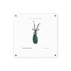 May include: A square, clear acrylic print featuring a stylized illustration of a Stardust Beetle. The beetle is teal with black stripes and long antennae. Text reads "A Study of Creatures Big and Small" and "Stardust Beetle".
