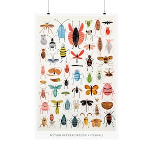 Op de afbeelding: Een kleurrijke illustratie van verschillende insecten, waaronder vlinders, kevers en libellen. De afbeelding heeft de titel "A Study of Creatures Big and Small".