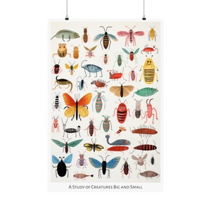 Op de afbeelding: Een kleurrijke illustratie van verschillende insecten en wezens, waaronder vlinders, kevers en spinnen. De afbeelding heeft de titel "A Study of Creatures Big and Small".