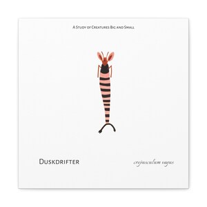 May include: A study of creatures big and small illustration of a pink and black striped creature with large ears and a long tail. The creature is labeled "Duskdrifter crepusculum vagus".