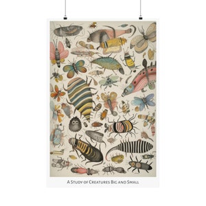 Op de afbeelding: Een grillige illustratie van een verscheidenheid aan kleurrijke insecten en wezens, met de tekst "A Study of Creatures Big and Small". De illustratie toont een verscheidenheid aan insecten, waaronder vlinders, kevers en motten, evenals andere wezens, zoals een vis en een slak.