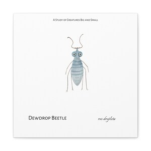 Op de afbeelding: Vierkante print met een aquarel illustratie van een Dewdrop Beetle. Het insect is lichtblauw met grote ogen en lange antennes. De tekst "A Study of Creatures Big and Small" en "Dewdrop Beetle" zijn gedrukt op een witte achtergrond.