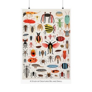 Op de afbeelding: Een kleurrijke illustratie van een verscheidenheid aan insecten en wezens, waaronder kevers, vlinders en spinnen. De illustratie heeft de titel "A Study of Creatures Big and Small".