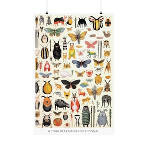 Op de afbeelding: Een kleurrijke illustratie van een verscheidenheid aan wezens, groot en klein, in een grillige en fantastische stijl. De wezens zijn afgebeeld in een verscheidenheid aan kleuren, waaronder rood, blauw, groen, geel en oranje. De illustratie is geplaatst tegen een witte achtergrond en bevat de tekst "A Study of Creatures Big and Small".