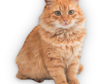 May include: A plush, orange cat with green eyes sits against a white background. The cat has long, fluffy fur and is facing forward. The cat's paws are visible, and its expression is alert.
