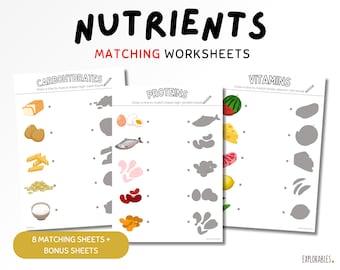 Nutrients Matching Activity Food Worksheets Fun Children Primary Nutrition Kids Food Facts Fruit Printables Shadow Matching Sheet Health