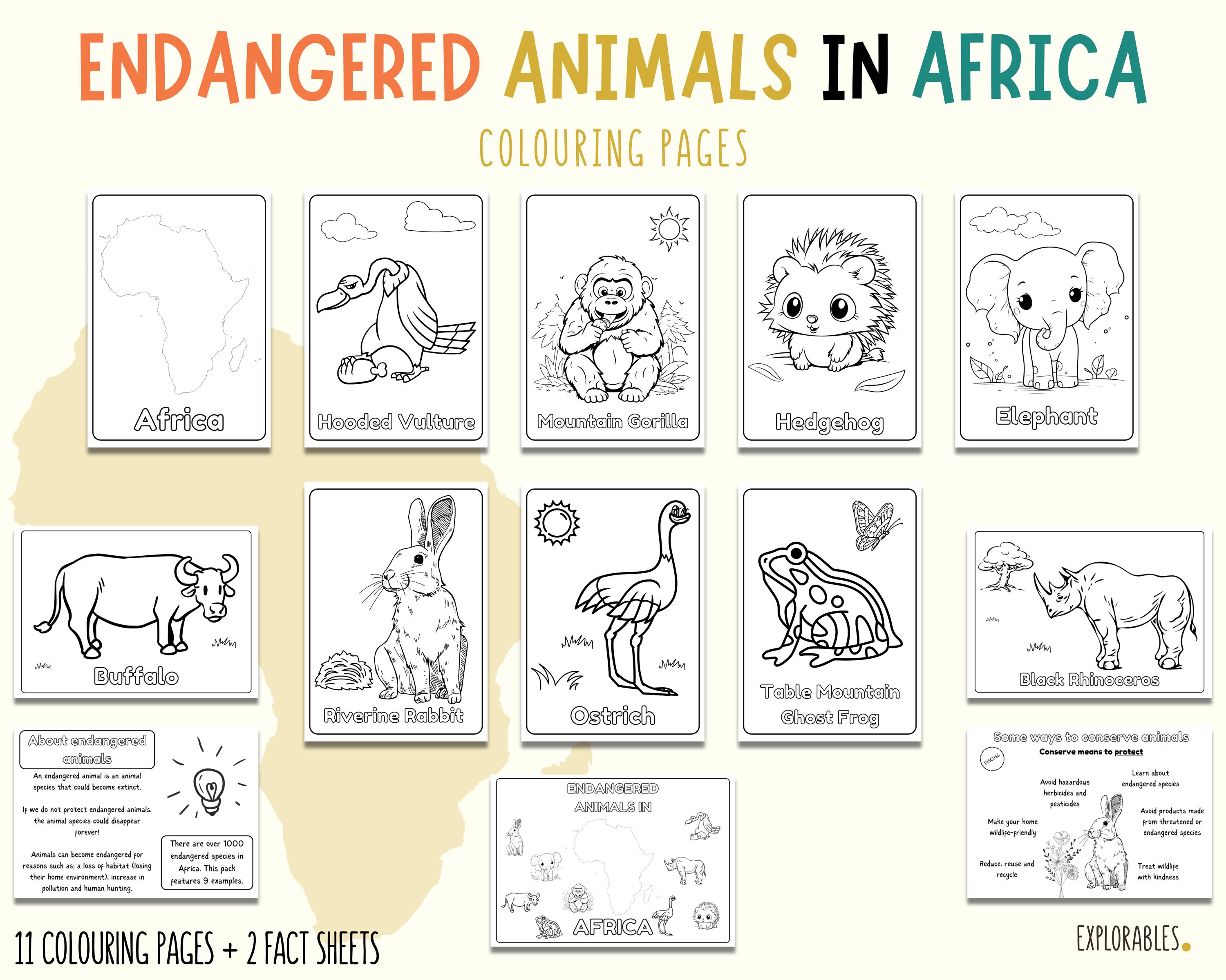 Endangered Animals in Africa Colouring Pages Explore Africa Activity ...