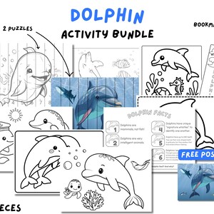 May include: A dolphin activity bundle with the text "Dolphin Activity Bundle" and "10 Pieces". Includes coloring pages, puzzles, a bookmark, and a free poster. The illustrations feature dolphins, sea creatures, and facts about dolphins.