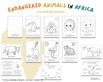 Endangered Animals in Africa Colouring Pages Explore Africa Activity Pack Worksheets About Africa Kids Geography Lesson Resources Safari