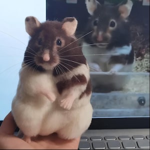 Aangepast naaldvilten hamsterbeeldje, realistische replica wolhamster, gepersonaliseerd huisdier gedenkteken