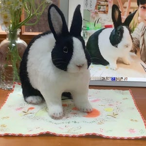 Gepersonaliseerde naaldvilten konijntje, handgemaakt herdenkingspaascadeau, wolvilten pop, lentedecor