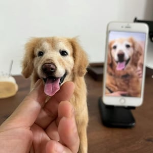 May include: A lifelike, golden retriever dog sculpture with a pink tongue, held in a hand. A smartphone displays a photo of a similar dog. The sculpture has a smiling expression and detailed fur.