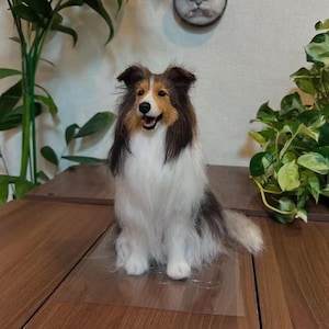 Op de afbeelding: Een handgemaakt Shetland Sheepdog beeldje. De hond heeft een witte, bruine en zwarte vacht, met een pluizige manen en staart. Hij zit op een houten oppervlak, met groen in de achtergrond. De hond is ongeveer 30 cm hoog.