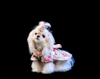 Handcrafted Tailor Made Pet Couture - 01 Pink Sapphire