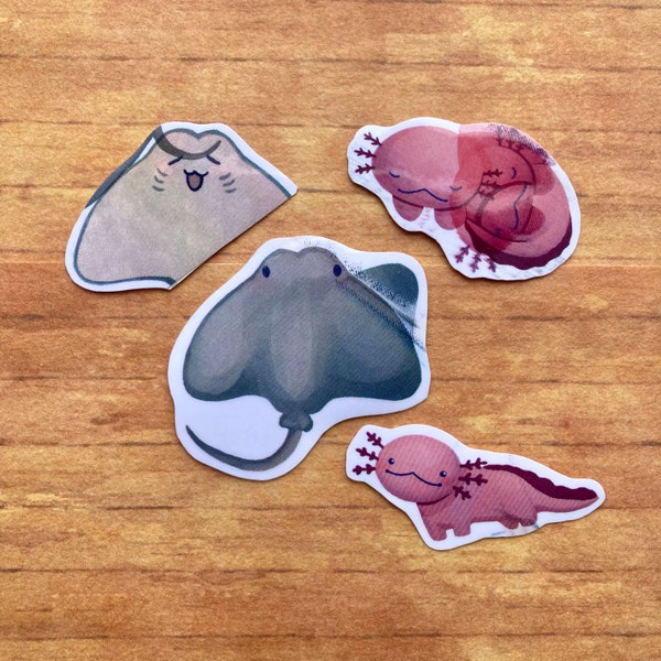 2 Random Misprint Stickers // Waterproof & Glossy