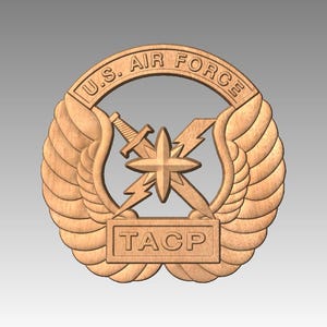 USAF Tactical Air Control Party (TACP) INSIGNIA 3D Model