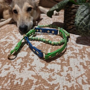 Komplett-Set Zugstopp Halsband, Leine und Perlenkette Verde aus  Hexa/Biothane - Etsy.de