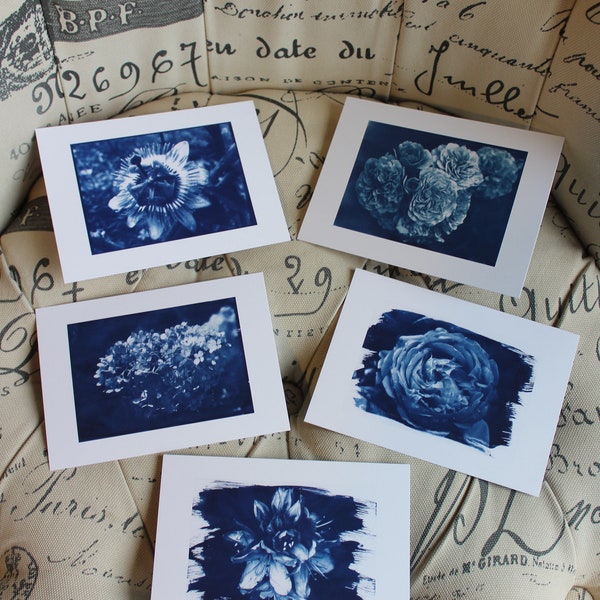 Lot de 5 Cartes Postales de Cyanotypes