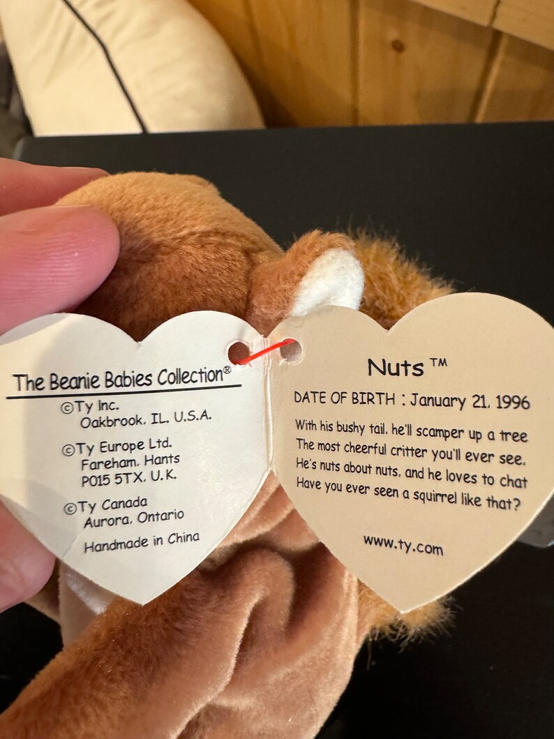 TY Beanie Baby Nuts the Squirrel RARE With Tag Errors Etsy