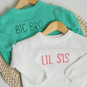 Custom Baby Sweater, Embroidered Toddler Sweater, Big Brother Little Sister Sweater, Pregnancy Announcement, Birthday Gift, Newborn Gift