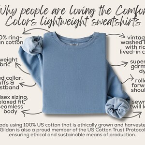 Vintage Country Geese Comfort Colors Sweatshirt Blue 1980s Kitchen Farmhouse Crewneck Silly Goose Lover Tshirt Retro Mama Cottagecore image 11