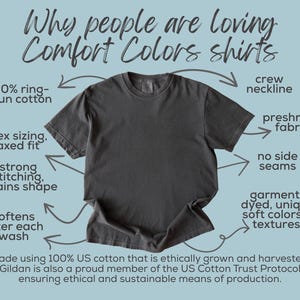 Support Your Local Murder Shirt, Comfort Colors Crow T shirt, Raven Edgar Allan Poe Literature Tee, Vulture Culture Crowcore Gift image 8