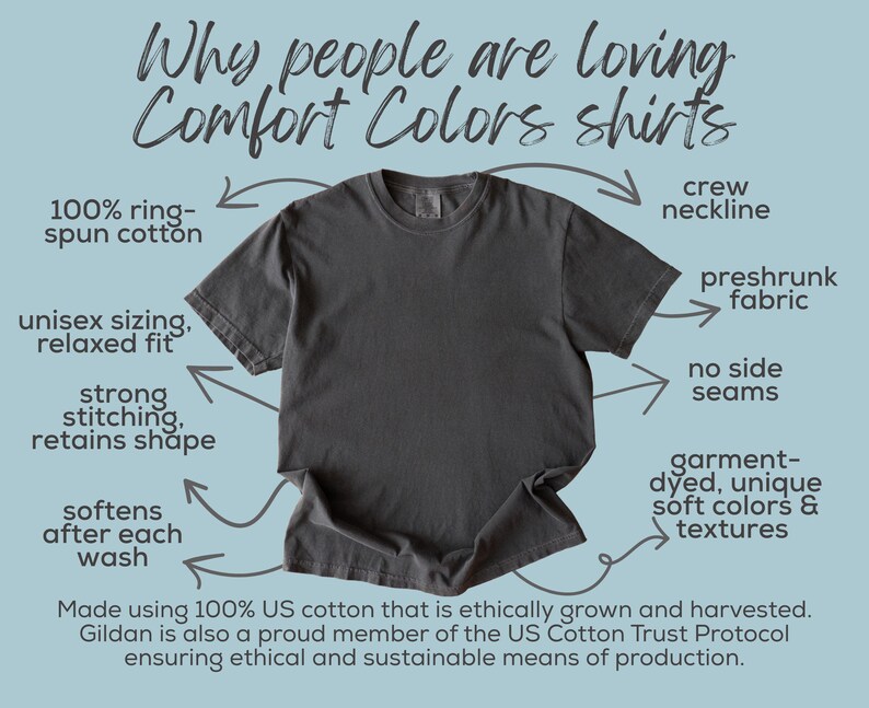 Support Your Local Murder Shirt, Comfort Colors Crow T shirt, Raven Edgar Allan Poe Literature Tee, Vulture Culture Crowcore Gift image 8