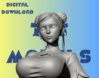 Chn Li Stret Fghtr Model STL File STL Model 3D Easy Printable File