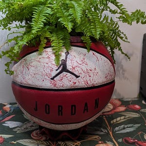 May include: A red and white basketball repurposed as a planter, featuring the black Jumpman logo and the word JORDAN in black lettering. A vibrant green fern plant grows out of the top of the ball, which rests on a dark red circular base.