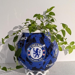 May include: A blue and white Chelsea Football Club soccer ball planter with green trailing plants. The planter is supported by a white stand. The Chelsea Football Club logo is prominently displayed on the front of the planter.