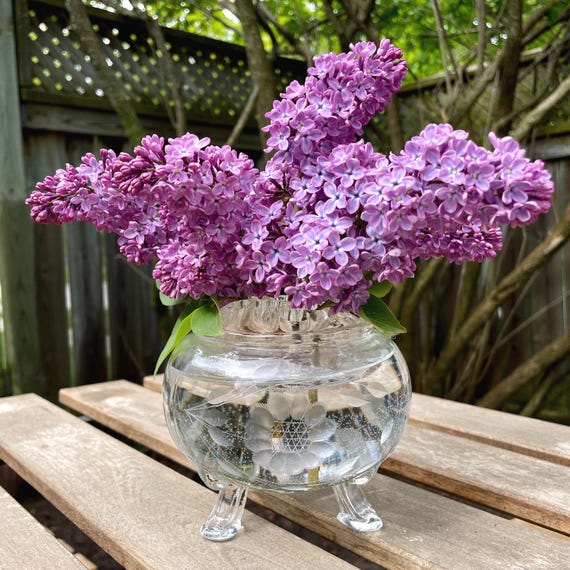 Viking Glass Flowerette Bowl & Frog – W.J. Hughes Corn Flower Pattern – Crystal 4.5" Flower Bowl with Padded Feet – Vintage Viking No. 1007