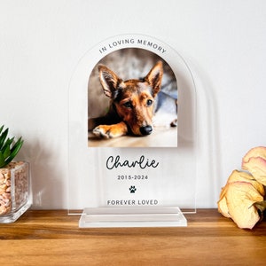 Peut inclure: Une plaque commémorative en acrylique transparente avec un cadre photo en arc. La photo montre un chien brun et noir. La plaque porte les inscriptions "In Loving Memory", "Charlie", "2015-2024", une empreinte de patte et "Forever Loved".