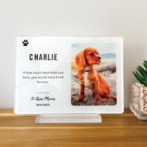 Peut inclure: Plaque commémorative en acrylique blanc imitation marbre avec une photo d'un chien brun et blanc. La plaque porte le texte "CHARLIE" et "Si l'amour avait pu te garder ici, tu aurais vécu pour toujours." La plaque porte également le texte "En souvenir affectueux 2010-2023".