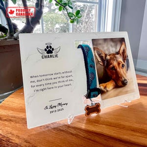 Support personnalisé pour collier pour animal de compagnie, cadre commémoratif pour chien, cadeau de condoléances pour la perte d'un animal de compagnie, hommage à un compagnon bien-aimé. Cadeau pour la perte d'un chien