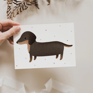 Carte postale Teckel
