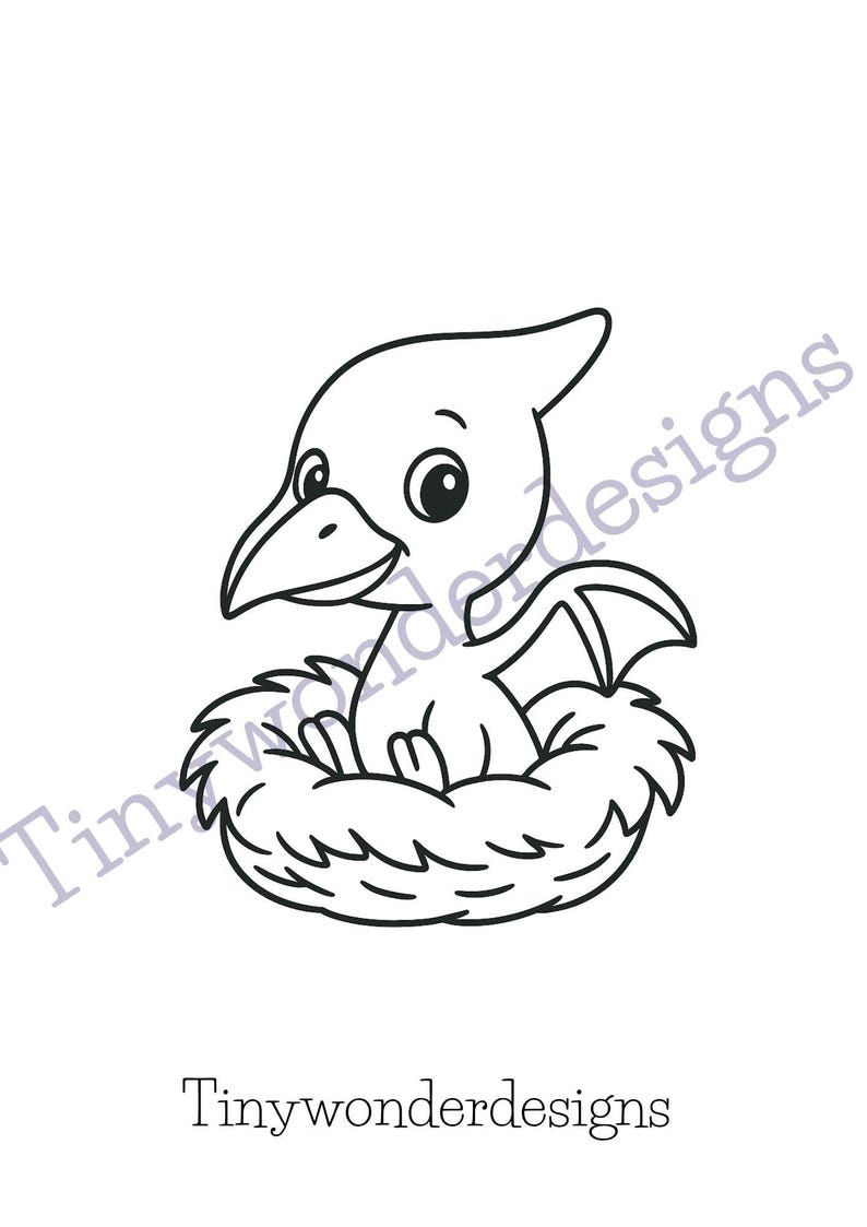 May include: Black and white line art illustration of a baby pterodactyl in a nest. The dinosaur has large eyes and a beak, with wings visible. The text "Tinywonderdesigns" is at the bottom.