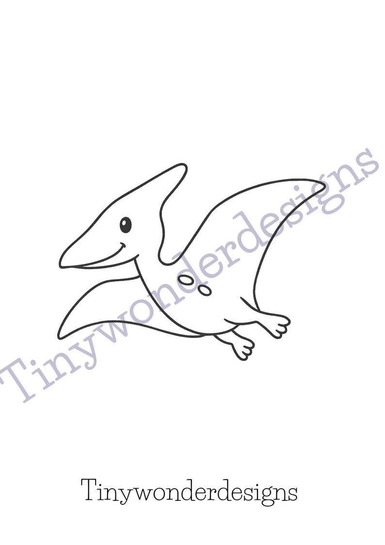 May include: A black and white line drawing of a cartoon pterodactyl with a smiling face. The image includes the text "Tinywonderdesigns" in a script font.