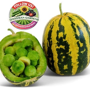 May include: A halved green melon filled with green sprouts next to a yellow and green striped melon. A sticker in the upper left corner reads "FOLLOW US!" and "Goodman Gardens" with images of vegetables.
