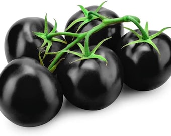 Black Beauty Tomato Seeds: Organic, High Antioxidant, Non-GMO