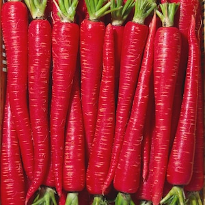 May include: A close-up shot of a collection of vibrant red carrots. The carrots are arranged closely together, showcasing their bright color and fresh green tops. The image highlights the natural texture and shape of the vegetables.
