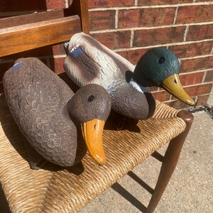 Vintage Flambeau mallard duck decoy pair displayed together in natural sunlight on woven chair showing drake and hen with realistic feather texture and classic mallard coloration, molded plastic floating hunting decoys with weighted keel bases, rustic cabin lodge decor styled with Ralph Lauren inspired sporting aesthetic, lake house interior design accent, outdoorsman collectible combining functional waterfowl hunting gear with decorative appeal, aged wear adds authentic vintage character