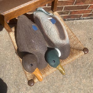 Top view of vintage Flambeau mallard duck decoy set showing both drake and hen side by side with detailed carved feather patterns across wings and back, natural color variation with brown, gray and blue accents visible, molded plastic construction with realistic texture, functional floating duck decoys used for waterfowl hunting with weighted keel undersides, rustic lodge decor styling for cabin or lake house, sporting themed interior accent, vintage hunting gear with decorative crossover